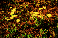 二手に分かれて