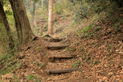 獣道に似た山道