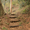 獣道に似た山道
