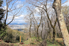 弘法山の春