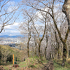 弘法山の春