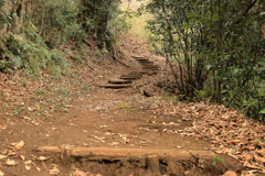 山道の踊場