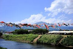 鈴川鯉のぼりまつり