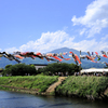 鈴川鯉のぼりまつり