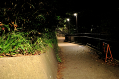 赤い葉とオレンジのA型バリケード