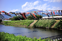 鈴川鯉のぼりまつり