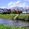 鈴川鯉のぼりまつり