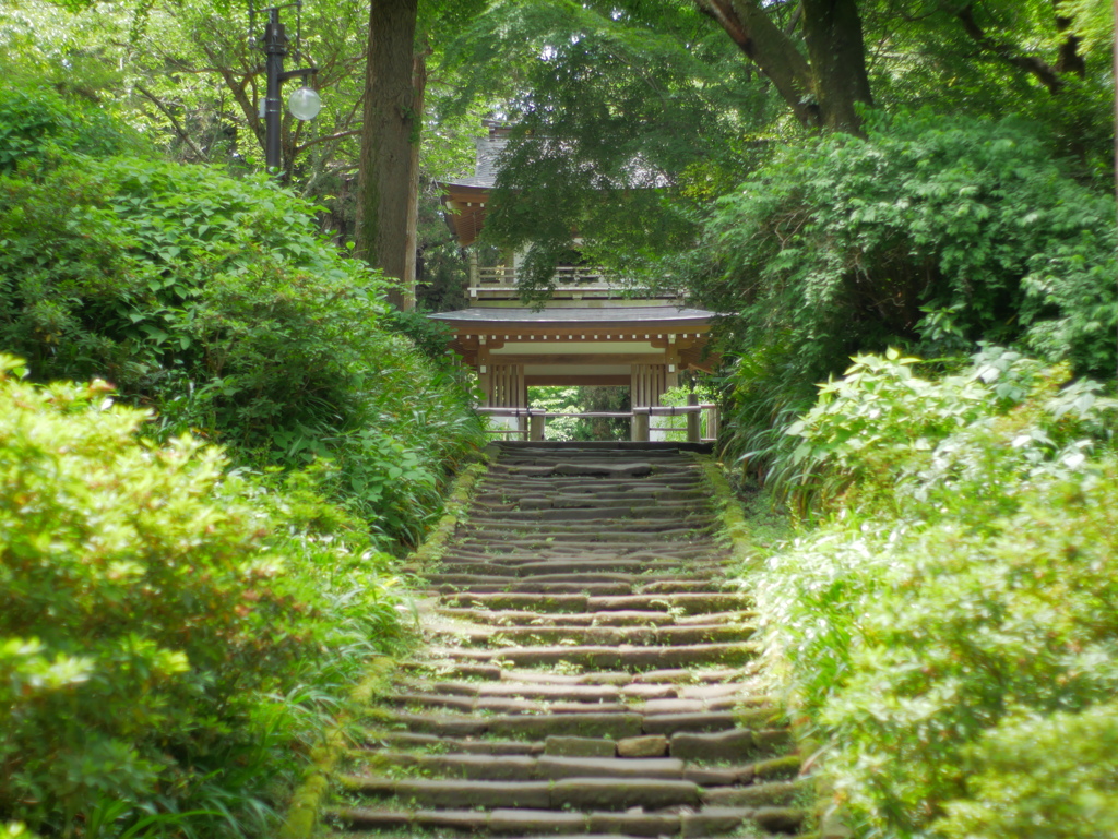 淡い日差しの石段