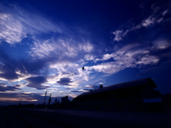 大空を行く