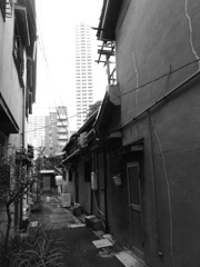長屋から見えた高層マンション