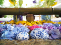 函館八幡宮　花手水１