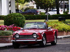 トライアンフTR250