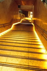 Kobe street