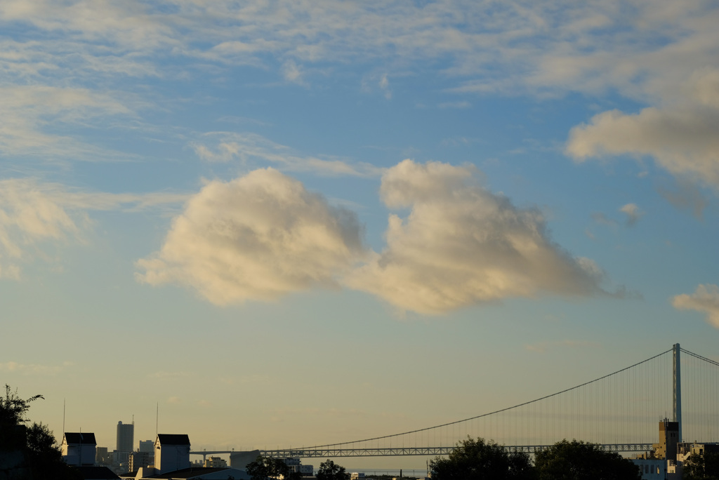 朝の夏雲