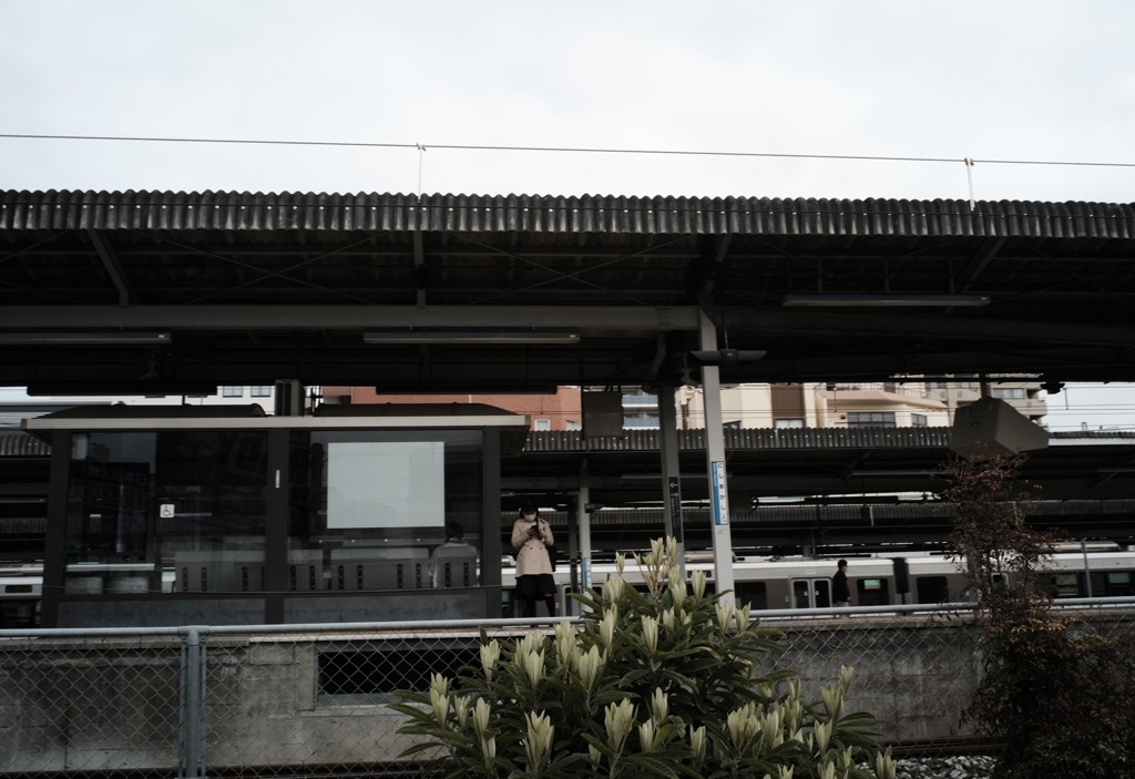 フォト散歩