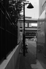 白と黒