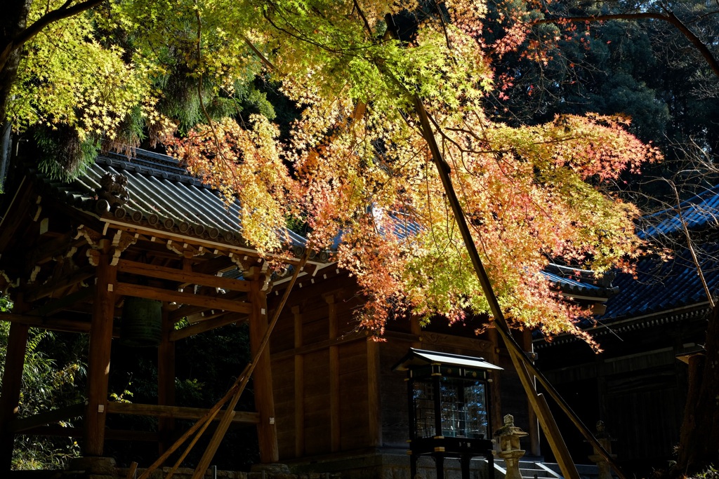 フォト散歩　寺