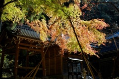 フォト散歩　寺