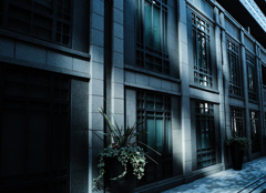 Kobe street