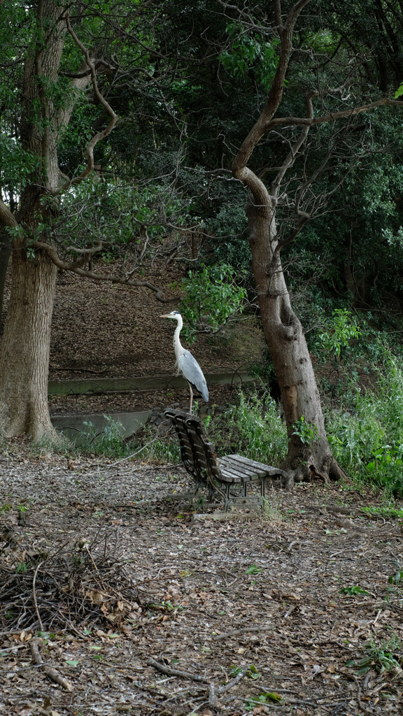 フォト散歩