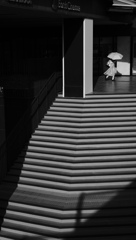 白と黒