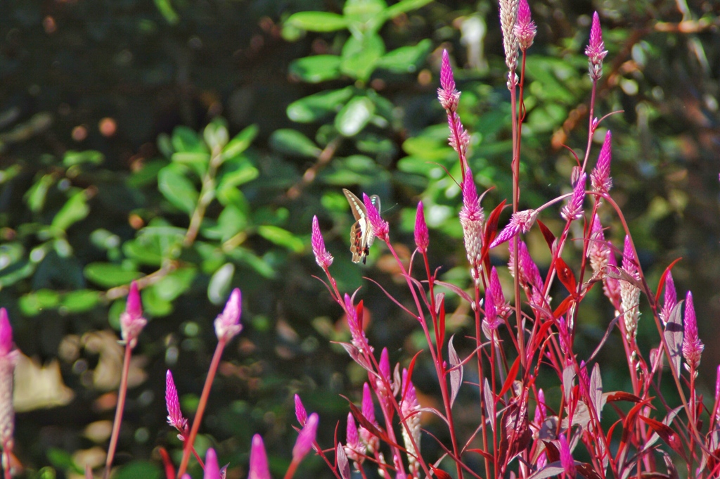雨上がりの公園 2