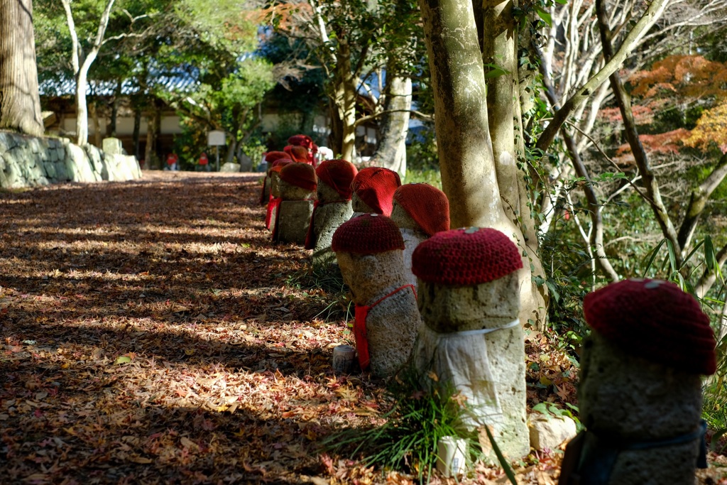 フォト散歩　寺