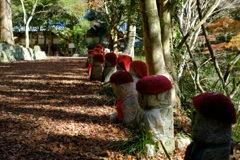 フォト散歩　寺