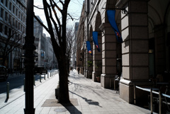 Kobe street