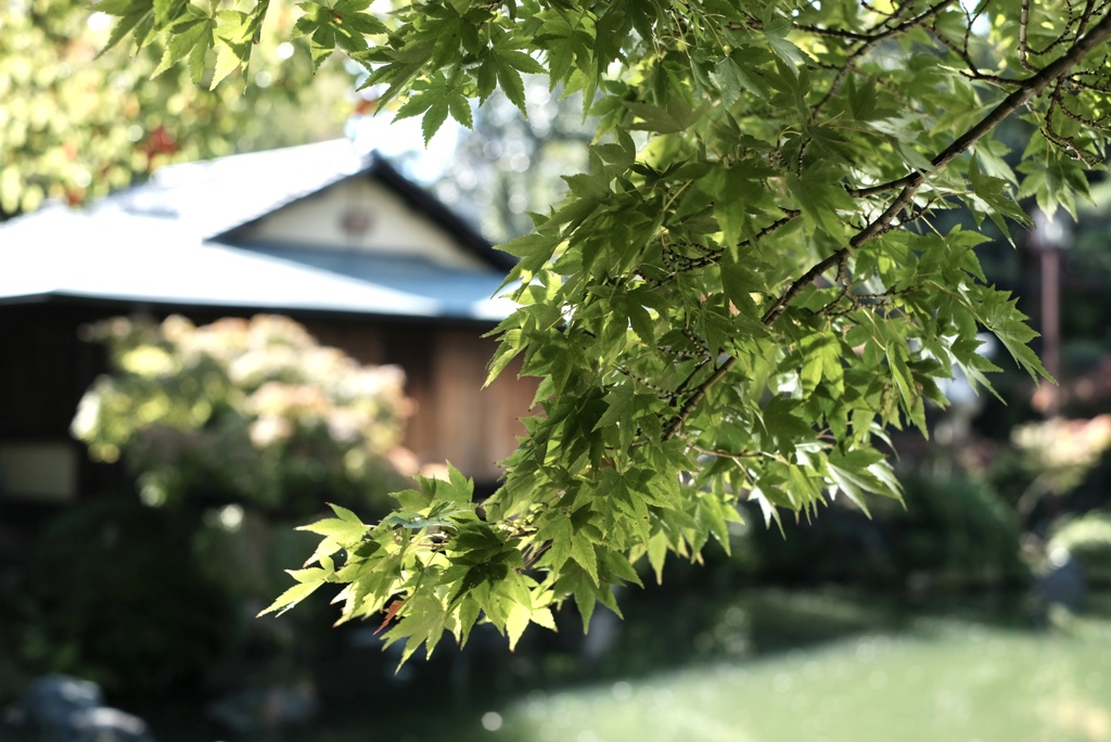 相楽園