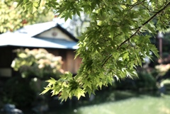 相楽園