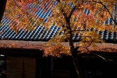 フォト散歩　寺