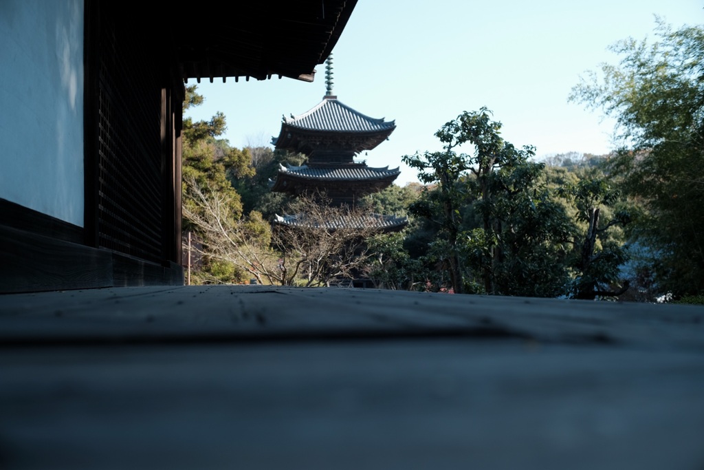 フォト散歩　寺