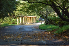 雨上がりの公園 1