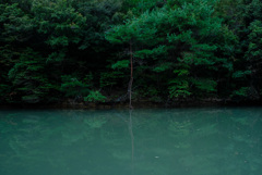フォト散歩