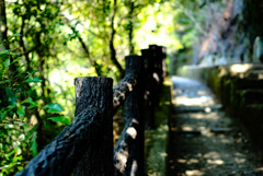 フォト散歩