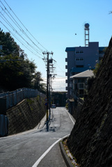Kobe street