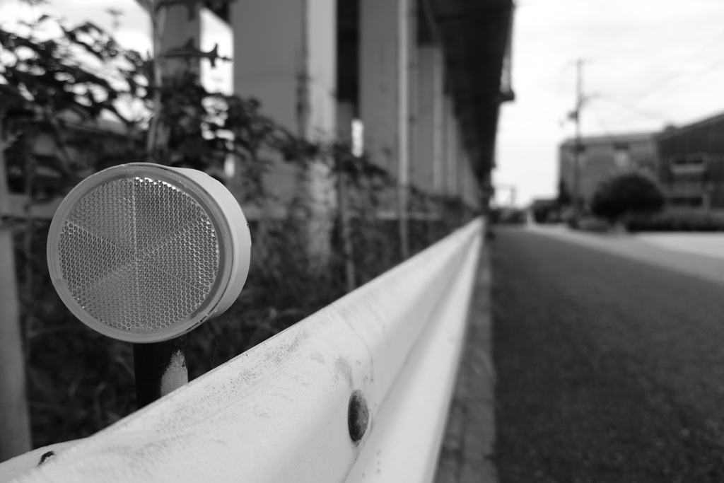 白と黒
