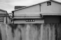 白と黒