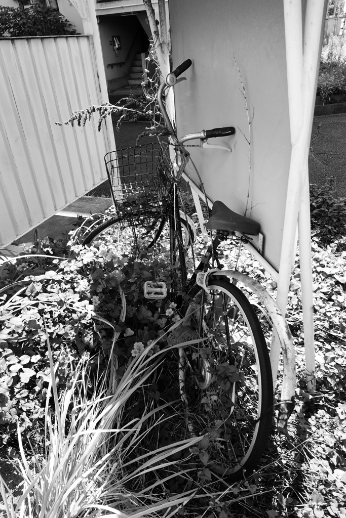 古びた団地の風景