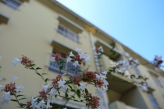 古びた団地の風景