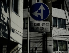 フォト散歩