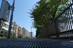 古びた団地の風景