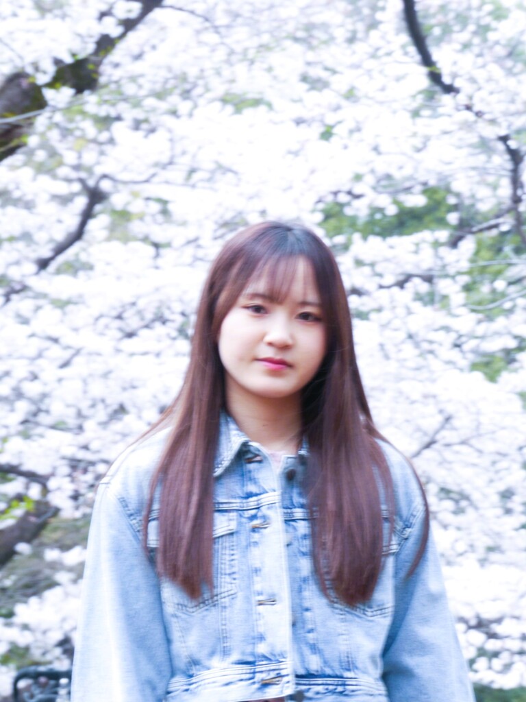美しい桜（清田美桜）