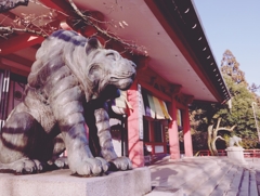 京都の貴船神社２