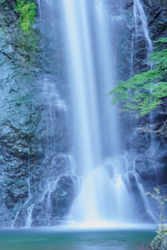 箕面の滝