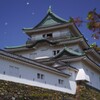 和歌山城