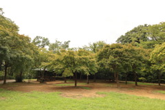 公園