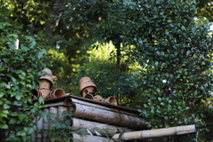 20210919160720_IMG_0250