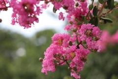 20210822154622_IMG_0149